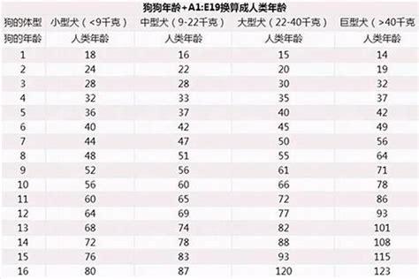 属狗的今年几岁|属狗的今年多少岁 2024年属狗的人年龄